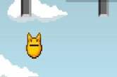 Flappy bouncing cat